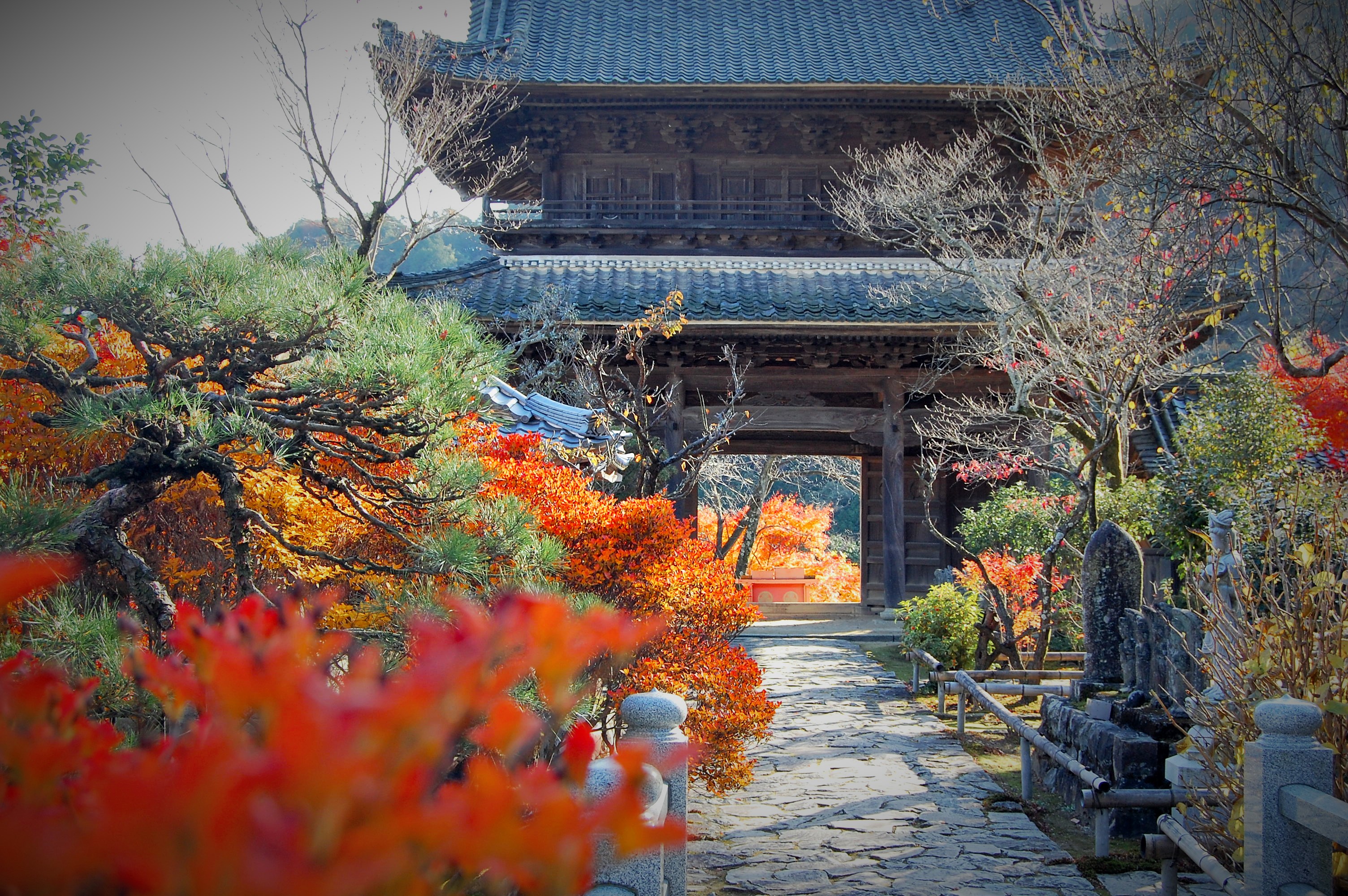 行基寺　写真