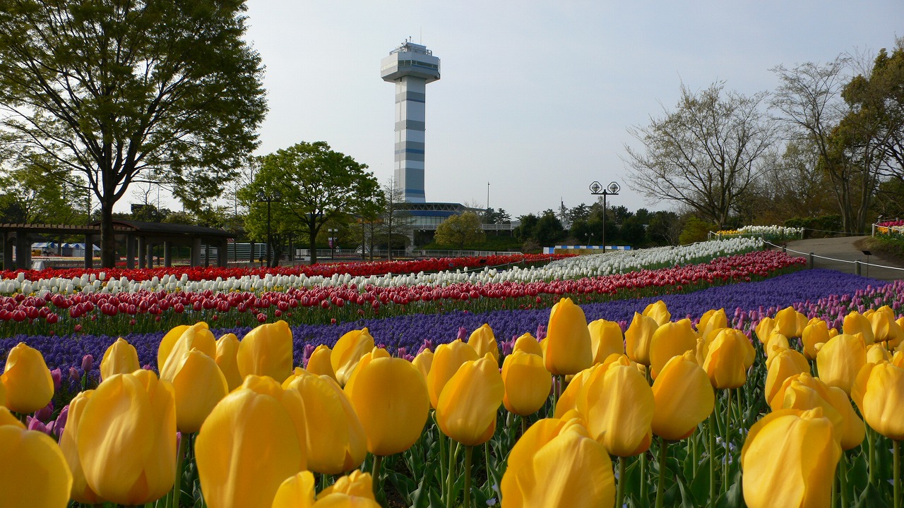 木曽三川公園　写真